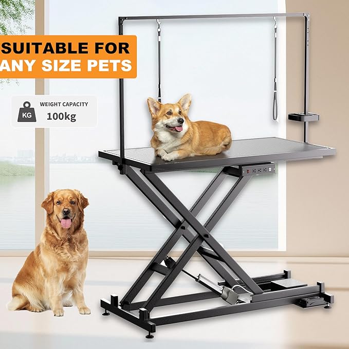 Professional Electric Lift Dog Grooming Table, 50 Inch Heavy Duty Pet Grooming Station with Roller, Adjustable Overhead Arms and Tool Organizer Suitable for Home and Commercial Use
