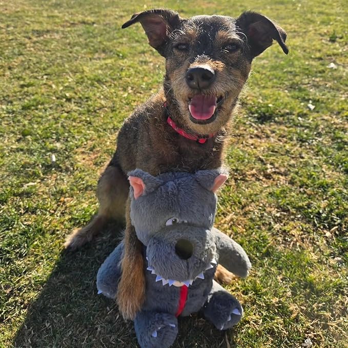 Nocciola Fairy Tale Squeaky Dog Toys, Cute Interactive Plush Stuffed Hide and Seek Cognitive Puzzle Puppy Crinkle Chew Toy for Small, Medium Breed