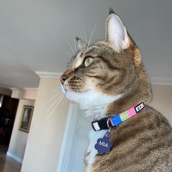 Pawtitas Multicolor Cat Collar Kitten Collar with Safety Buckle and Removable Bell - Blue/Grey/Beige/Green