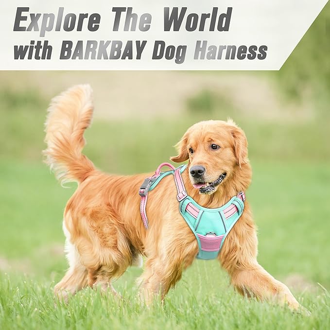 BARKBAY No Pull Dog Harness Front Clip Heavy Duty Reflective Easy Control Handle for Large Dog Walking(Cool Mint & Baby Pink,L)