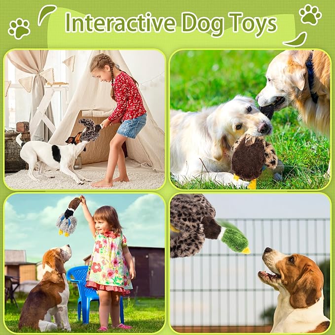 2-Pack Stuffing-Free Squeaky Dog Toys – Hollow-Body Gray Plush (2 Squeakers) & Mallard (4 Squeakers) | Durable Hollow Body for Medium Dogs | No Stuffing, Safe & Mess-Free