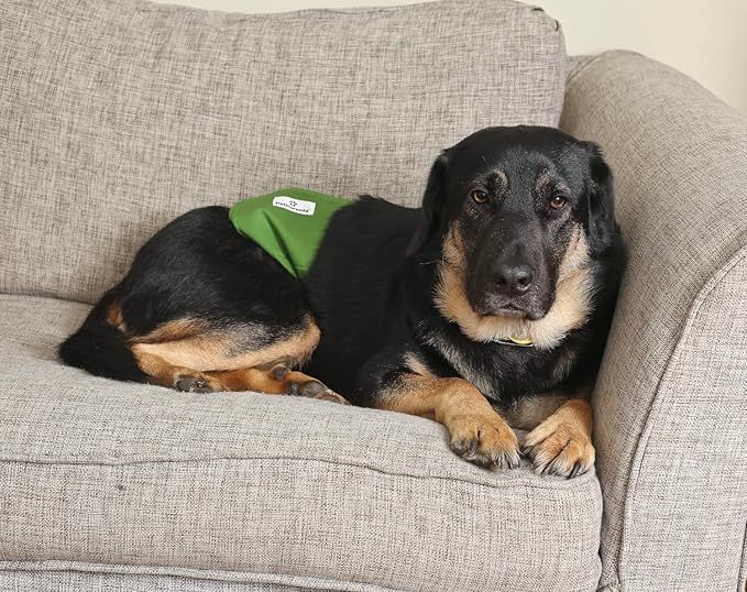 Pet Parents® Washable Belly Bands for Male Dogs (3pack) + Extendrs® of Durable Dog Diapers Male, Premium Male Dog Diapers & Dog Wraps (X-Large, Gentlemen)