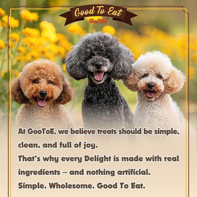 Gootoe Turkey Tendons for Dogs –All-Natural, Hypoallergenic Dog Treats, Rawhide Alternative, Long Lasting Puppy Chews, Healthy Dog Treats for Medium Breeds, Bone (M), 3 Count Pack