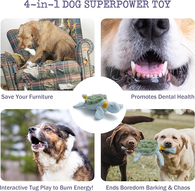 Turtle Squeaky Dog Toy - New 2025 Indestructible Tug of War Crinkle Dog Toy for Aggressive Chewers, Tough Large Breed Interactive Trianing Fun to Keep Them Busy