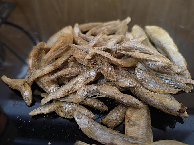 Minnows - 8.5 oz Freeze Dried Minnows for Cats & Dogs - 100% Natural Premium Cat & Dog Treat (8.5 OZ)