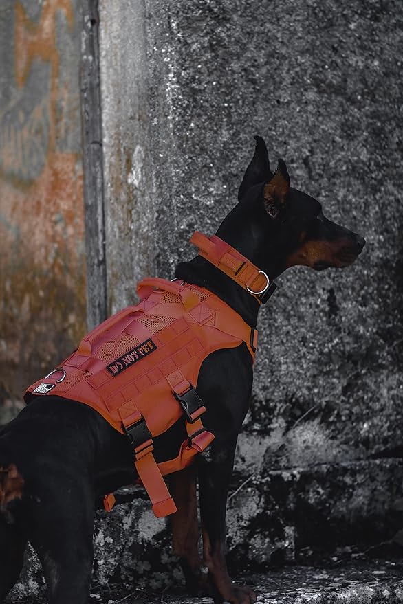 OneTigris Mesh Design Tactical No Pull Dog Harness for Large Dogs, Breathable Service Dog Vest Harness with Handle, Military Dogs Vest with Molle Panels for Walking Hiking (Orange, X-Large)