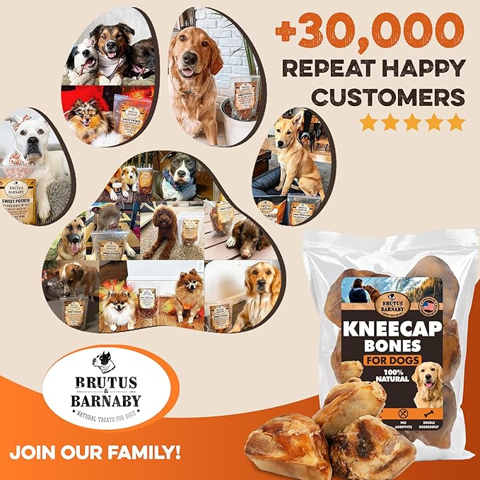 BRUTUS & BARNABY Kneecap Bones for Dogs – 100% USA-Sourced Beef – Long-Lasting Natural Chews for Aggressive Chewers – High Protein, Dental Health Support, (5-pk) – Made in The USA