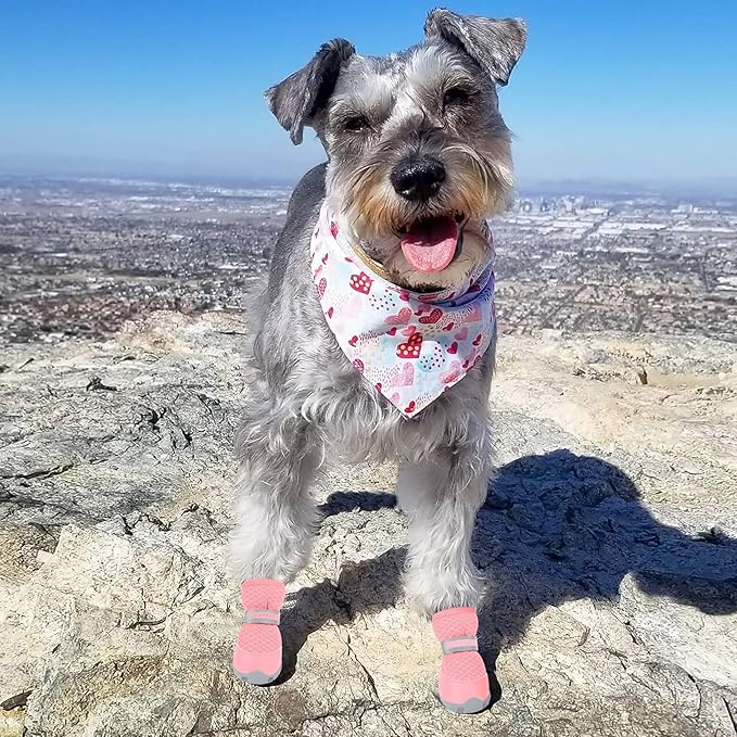 QUMY 4PCS Dog Shoes for Small Dogs, Hot Pavement Summer Puppy Dog Boots & Paw Protectors with Soft Anti-Slip Rubber Sole, Mesh Breathable Dog Booties for Hardfloors, Walking Running Pink Size 1