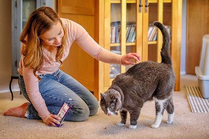 In Clover Smile Daily Dental Health Soft Chews for Cats, Support Healthy Teeth and Fresh Tongue with Catnip and Green Tea, Prebiotics, and Chlorophyll for Fresh Breath, 10.5 oz