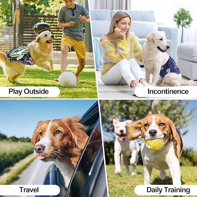 Washable Male Dog Diapers Reusable, Premium Dog Belly Bands for Male Dogs Medium, Pack of 3, High Absorbing Male Dog Pee Wraps for Doggie in Incontinence or Excitable Urination and Training(M)