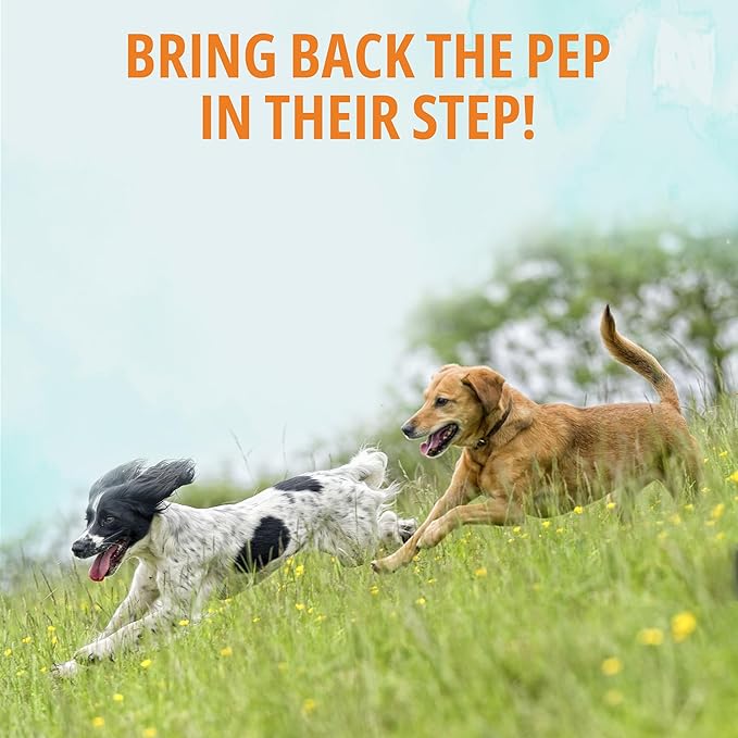 NOVEHA Dog Glucosamine Chews | Hip and Joint MSM Formula for Dogs Joint Care | Senior Pet Joint Health Supplement | Premium Glucosamine and Chondroitin for All Breeds | 90 Soft Chews; Chicken Flavor