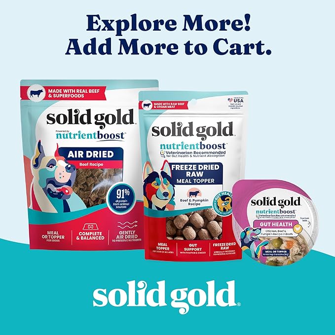 Solid Gold Canned Dog Food for Adult, Puppy & Senior Dogs - High Calorie, High Protein Wet Dog Food w/Real Chicken, Whole Grains & Superfoods for Gut Health - Small, Medium & Large Breed Dogs -6 Pack