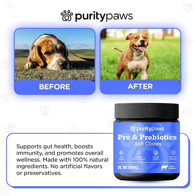 Probiotics for Dogs – Digestive & Immune Support Chews with Probiotics – Natural Gut Health Supplement for Diarrhea, Gas & Allergies (120 Count)