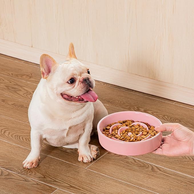 vancasso Slow Feeder Dog Bowl, 0.6 Cups Ceramic Dog Food Dish for Fast Eaters Small Breed, Puzzle Bowl for Small Dogs and Cats, Pink