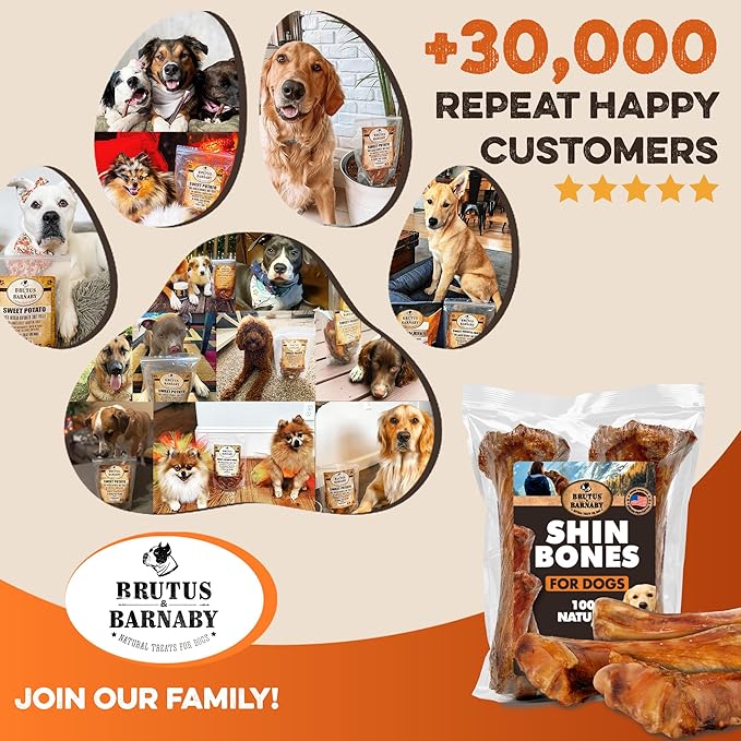 BRUTUS & BARNABY Shin Bones for Dogs – 100% USA-Sourced Beef Bones – Long-Lasting Chew for Large Breeds and Aggressive Chewers – Natural, High Protein, Dental Health Support, (3-pk) – Made in The USA