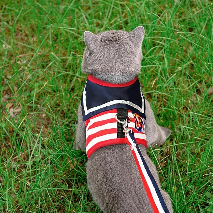 PUPTECK Soft Mesh Cat Vest Harness and Leash Set Puppy Padded Pet Harnesses Escape Proof for Cats Small Dogs Rabbits Bunny, Navy Red, L