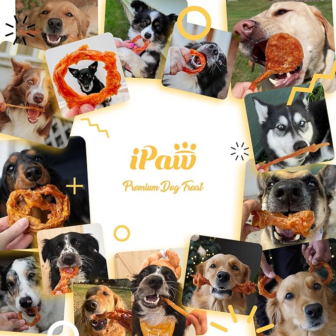 iPaw Turkey Tendon for Dogs 40 Pcs Bulk Pack, Ingredient Sourced from USA, Hypoallergenic, All Natural Human Grade Puppy Chew, Dog Treats for Signature Series, Rawhide Alternative, Ring (Small)