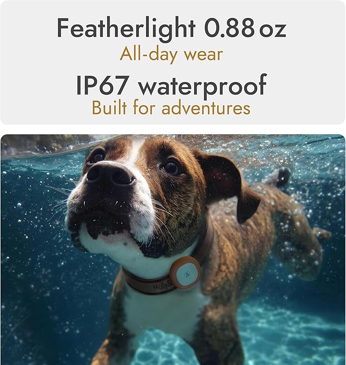 14L Automatic Dog Feeder for Large Breed with Stainless Steel Bowl and Molly&Cody GPS + Bluetooth Pet Tracker for Cats & Dogs – Real‑Time Tracking, Virtual Fence, IP67 Waterproof, Up to 60‑Day Battery