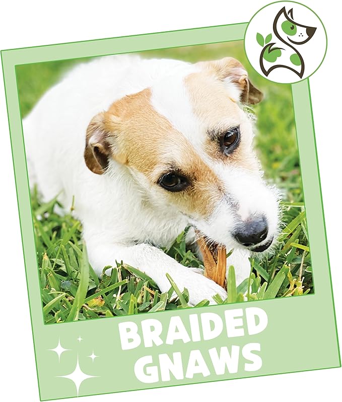 Nature Gnaws Braided Gnaws for Dogs 5-6" (12 Count) - Long Lasting for Small and Medium Dogs - Natural Beef Bully Stick Combo Braids - Rawhide Free