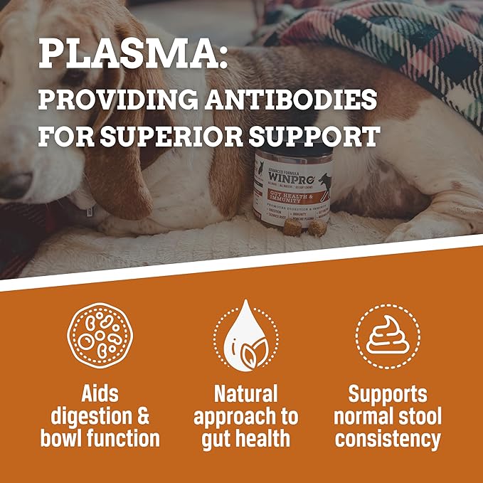 WINPRO Dog Gut Health Supplements – Plasma-Powered Chews for Dog Immune Support & Digestive Health, Fast-Acting Solution for Gut Health for Dogs of All Breeds & Sizes, 60 Count, Made in USA