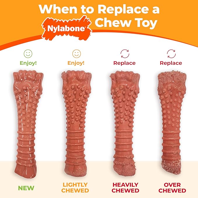 Nylabone Original Bone Power Chew Toy for Dogs, Durable & Tough Dog Toys for Aggressive Chewers, Original Flavor, X-Small/Petite - Up to 15 lbs, 1 Count