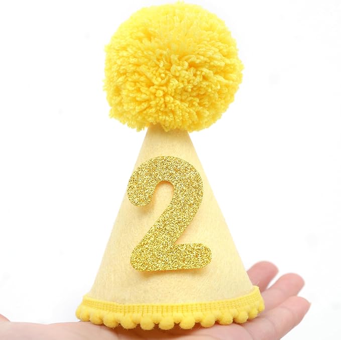 Pet Birthday Hat with Interchangeable Numbers 1-10 | Adjustable Pet Party Cone Hat for Dogs & Cats | Puppy Birthday Photo Props for 1st to 10th Birthday Celebrations (Yellow Birthday Pet Hat)