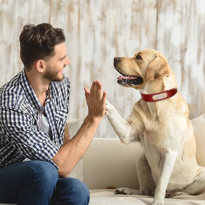 Didog Genuine Leather Dog Collars with Engraved Nameplate, Personalized Soft Leather Dog Collar with Custom ID Tag, Brown/Green/Red for Medium Large Dogs (L,Red)