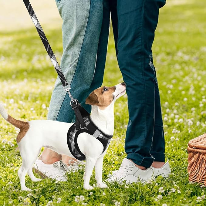 PUPTECK Adjustable Dog Harness Collar and Leash Set Step in No Pull Pet Harness for Small Medium Dogs Puppy and Cats Outdoor Walking Running, Soft Mesh Padded Reflective Vest Harnesses, Black XS