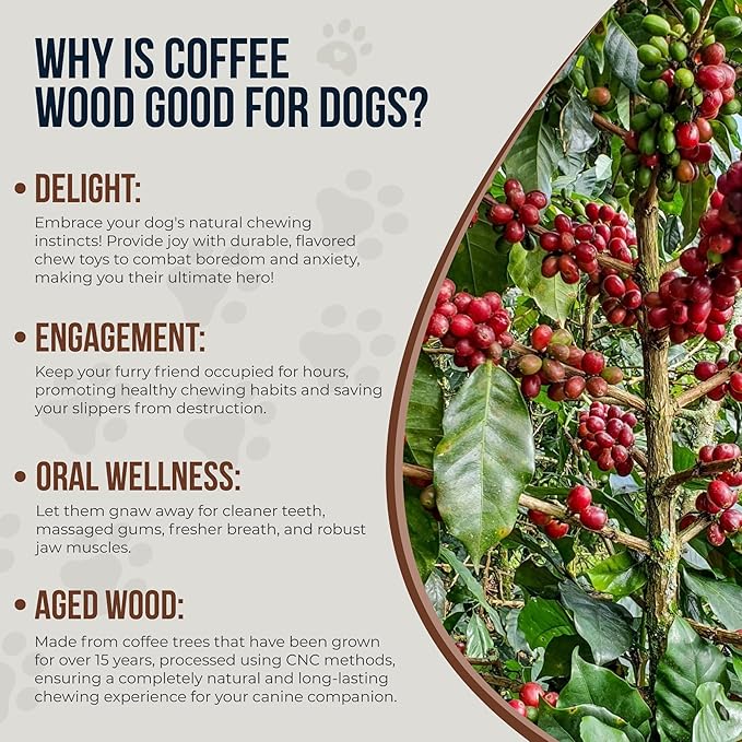 Coffee Wood Dog Chew Stick for Small Dogs, 7.5'', 2 Pack Size S - 100% Natural Chew Toys - Teeth Cleaning, Stress Relief, Dog Health - Organic