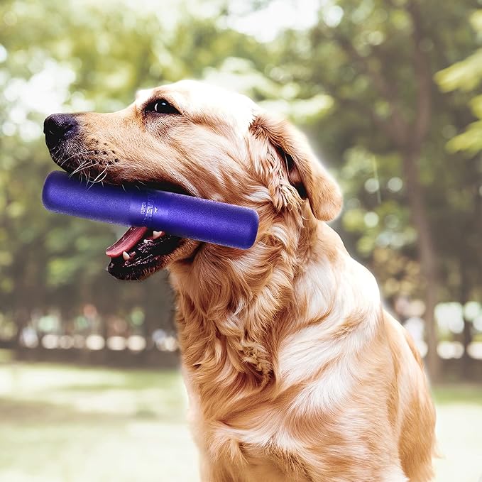 SuperChewy Tough Chew Stick Fetch Toy | Lifetime Replacement | Strong Natural Rubber | Smear Treats Inside To Excite Dogs | Ultra Durable Chewing Toy for Aggressive Chewers | For All Breeds