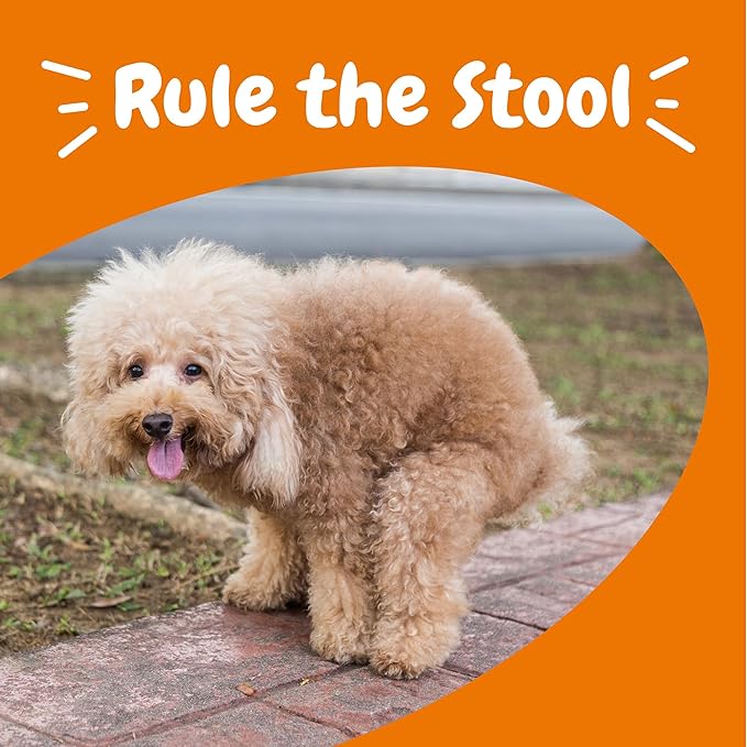 Zesty Paws Solid Poop Support Bites - Dog Stool Hardener - Pumpkin for Dogs with Prebiotics & Probiotics - Veterinarian Formulated Soft Chews - for Diarrhea Relief - 90 Ct