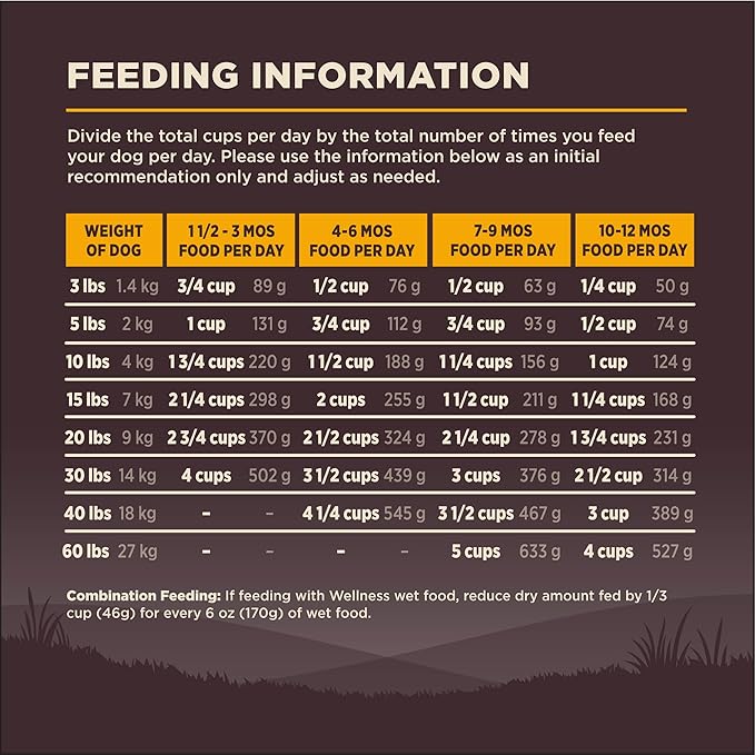 Wellness CORE Puppy Dry Dog Food, Grain-Free, High Protein, Natural, Chicken & Turkey Recipe, (26-Pound Bag)