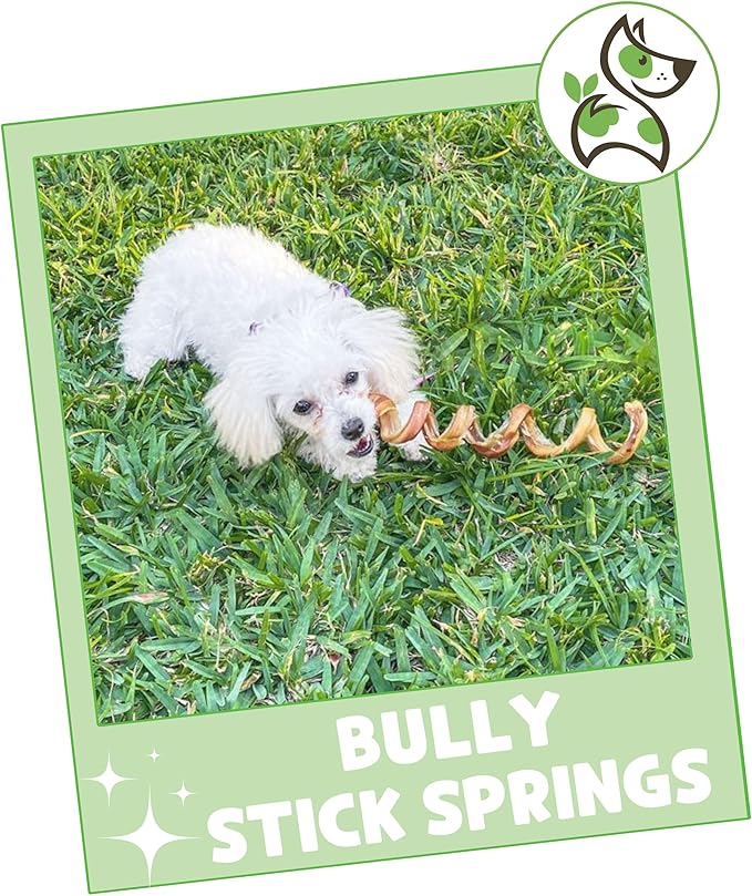 Nature Gnaws Bully Stick Springs for Dogs 7-8" (12 Count) - Long Lasting for Aggressive Chewers - Natural Curly Beef Dog Chew Bones - Rawhide Free