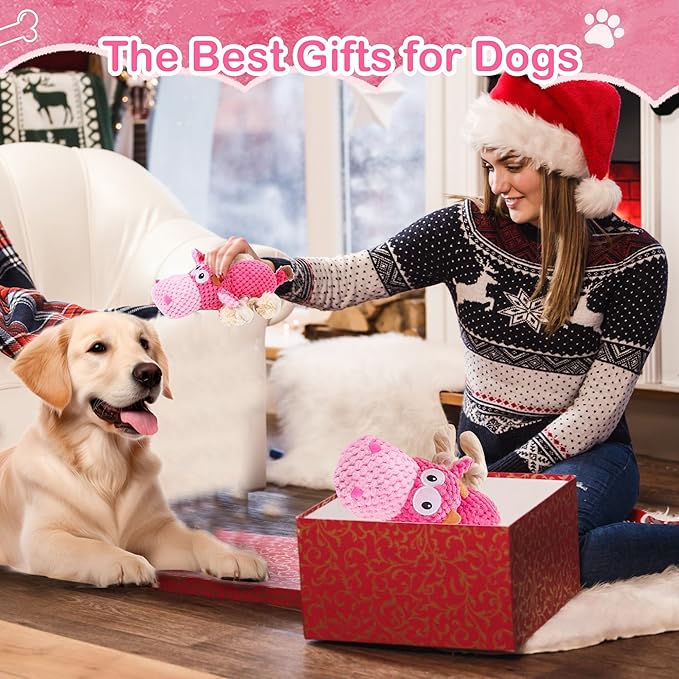 Dog Squeak Toys, Chew Rope for Small & Medium Breeds, Puppy Teething Interactive Plush Toy to Keep Them Busy, Best Birthday, Christmas, Halloween, Easter Gift, Hippo