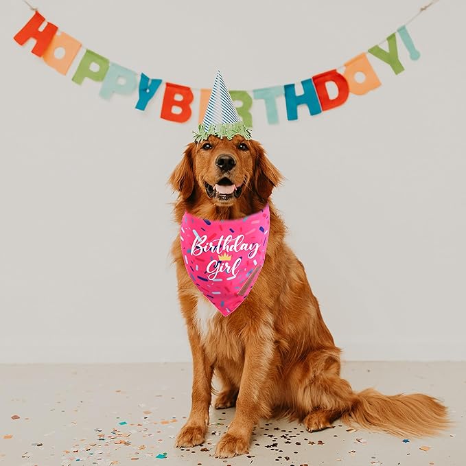 Realeaf Birthday Girl Dog Bandana, Dog Birthday Party Supplies,Premium Durable Fabric, Bandanas for Medium and Large Dogs Pets (Pink, Large)