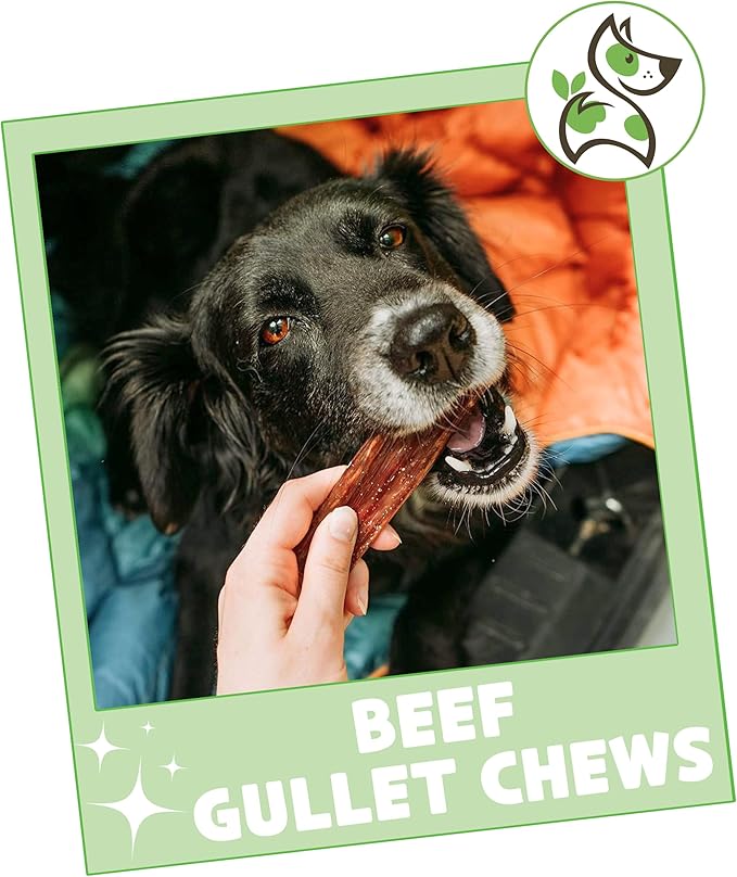 Nature Gnaws Beef Gullet Chews for Small Dogs 4-5" (50 Count) - Natural Beef Jerky Stick Dog Chew Treats - Rawhide Free