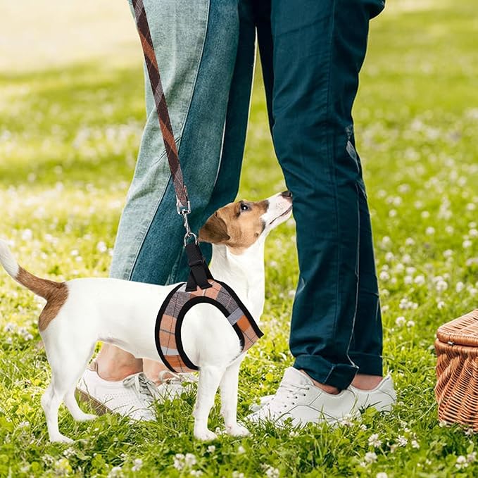 PUPTECK Adjustable Dog Harness Collar and Leash Set Step in No Pull Pet Harness for Small Medium Dogs Puppy and Cats Outdoor Walking Running, Soft Mesh Padded Reflective Vest Harnesses, Orange XS