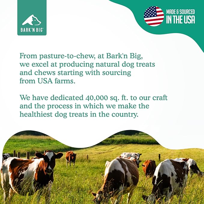 BARK'N BIG Thick Steer Sticks for Dogs - Chew Stick for Dogs, Odor Free Pizzle Sticks, Bully Chews Made in USA & Sourced in The USA - 5-6 Inch - 12 Ct