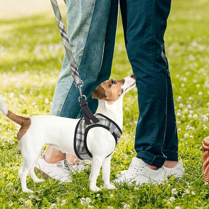 PUPTECK Adjustable Dog Harness Collar and Leash Set Step in No Pull Pet Harness for Small Medium Dogs Puppy and Cats Outdoor Walking Running, Soft Mesh Padded Reflective Vest Harnesses, Grn&YLW, XS