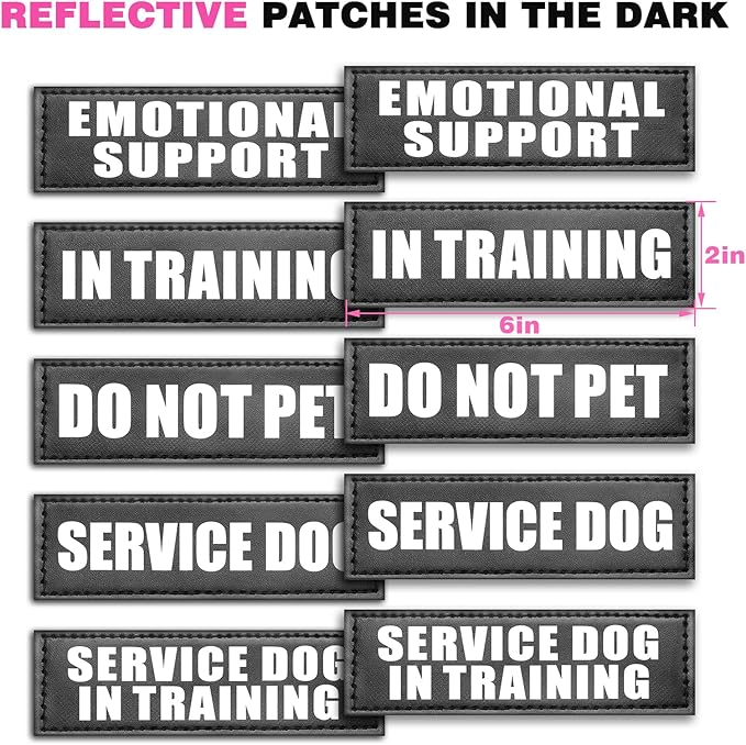 WINSEE Service Dog Vest Harness for Large Dog, Tactical Working MOLLE Vest with 10 Pet Patches, No Pull Heavy Duty Harness for Training Hunting Walking