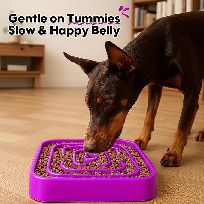 TOBYTO Slow Feeder Dog Bowls for Large Medium Breed, Anti-Choking Pet Slow Feeding Food Bowl, Non Slip Maze Puzzle Dog Feeder Bowl Prevent Bloating,Purple