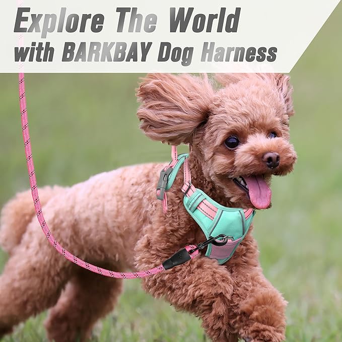 BARKBAY No Pull Dog Harness Front Clip Heavy Duty Reflective Easy Control Handle for Large Dog Walking(Cool Mint & Baby Pink,S)