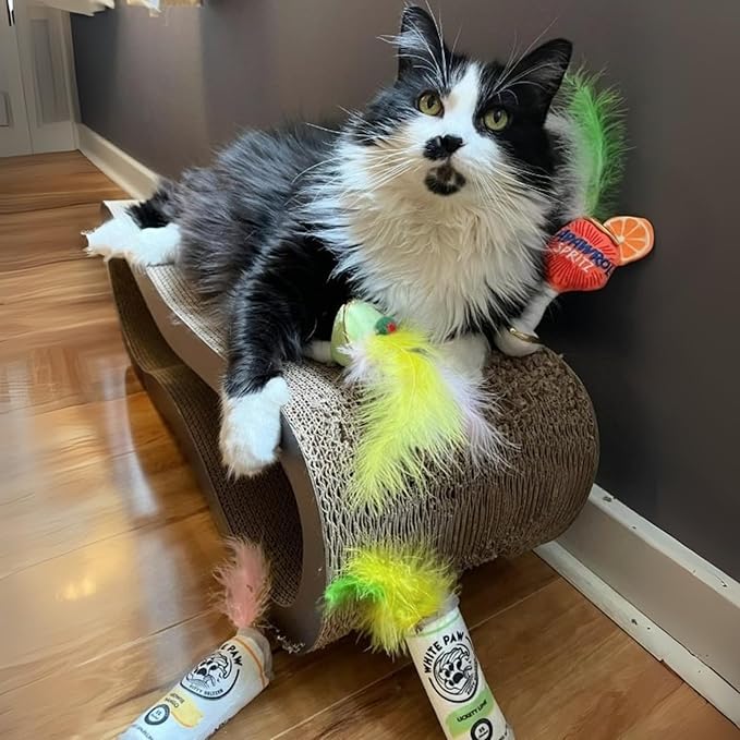 White Paw Mango & Lime + Purrrona Beer Bottle & Ball Set, Plush Cat Toys Catnip Filled with Interactive Crackle Sound, Safe & Durable Toys for Cat & Kitten, 4 Pcs