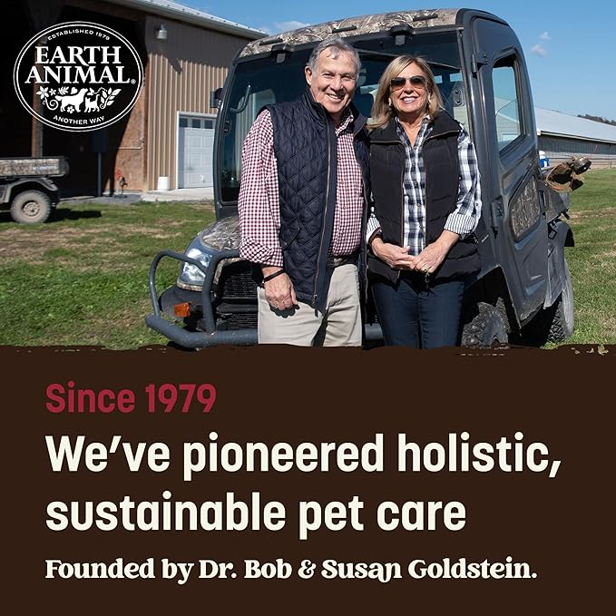 Earth Animal No Hide Stix - Long Lasting Rawhide Free Small Dog Chews Sticks, Beef - 20 Count Value Pack