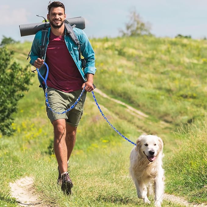 Heavy Duty Metal Dog Chain Leash with Comfortable PU Leather Padded Handle, Chew Proof, 6ft 3.0mm Blue