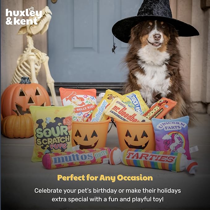 Huxley & Kent Funny Dog Toy w/Squeaker – Power Plush Squeaky Dog Toys for Small, Medium & Large Dogs – Soft Stuffed Animal for Indoor Play & Fetch - Farties, Small