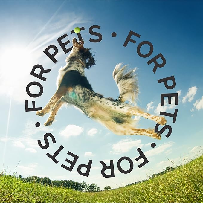 Bark2Basics Salon Scents Pet Grooming Cologne - 8 oz, Natural Professional Groomer Perfume for Dogs and Cats, Long Lasting, Deodorizing, (Spring Water and Cucumber)