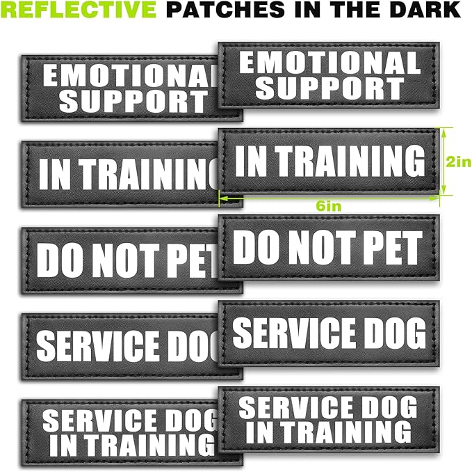 WINSEE Service Dog Vest Harness for Large Dog, Tactical Working MOLLE Vest with 10 Pet Patches, No Pull Heavy Duty Harness for Training Walking