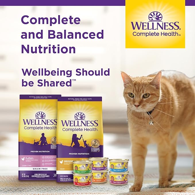 Wellness Complete Health Pate Adult Wet Cat Food, Natural, Protein-Rich, Grain Free, 12.5 Ounce, 12 Pack, (Turkey)