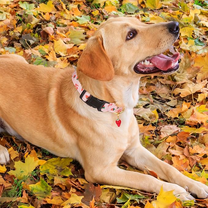 Cotton Handmade Dog Collar Cute and Distinctive Patterns Pink Strawberries with Pendant for Girl Boy Dogs Collars L